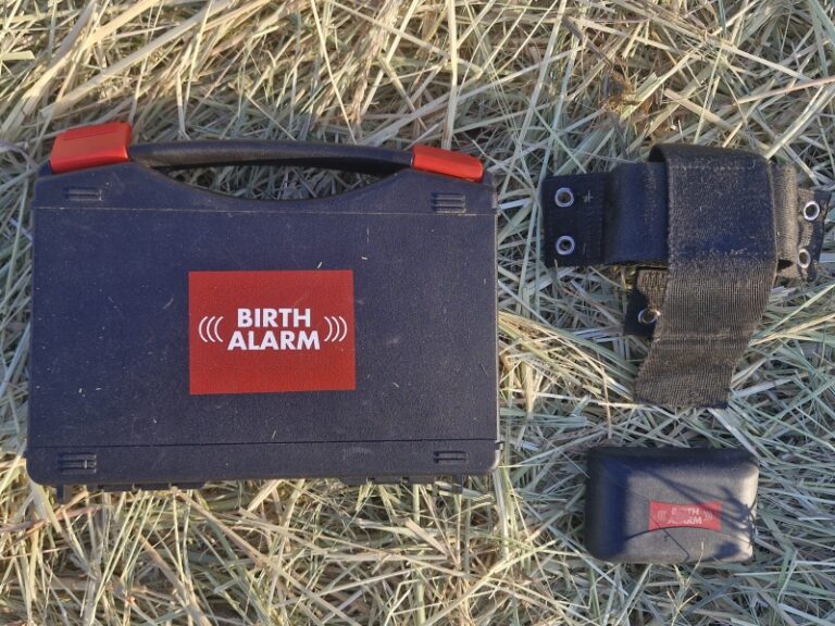 20260227 163110 768x576