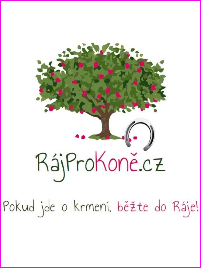 306948152 551981110063407 5437369338930387643 n (3)