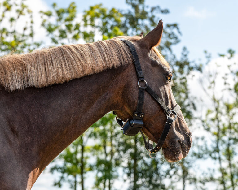 545523791 840428318515255 8640396390871748031 n